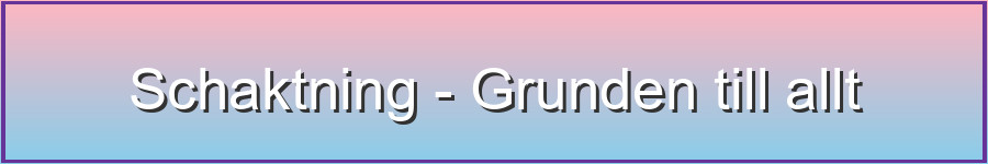 Schaktning - Grunden till allt